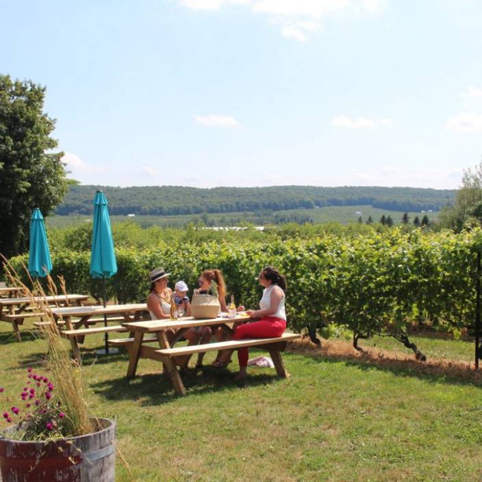 picnic3-1024x683
